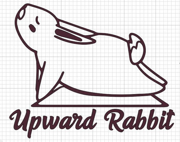 Upward Rabbit Bunny Yoga Shirt